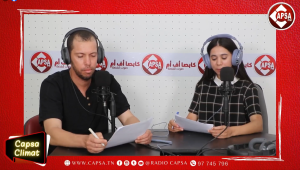 برنامج Capsa climat