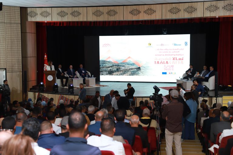 أفتتاح “أيام السياحة والصناعات التقليدية بڨفصة – تعالا ڨفصة”