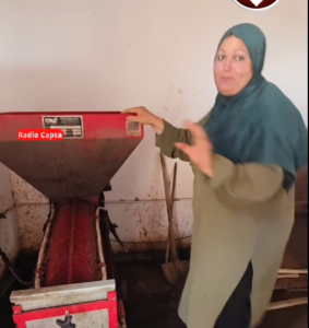 المرأة سرّ نجاح الفستق في ڨفصة
