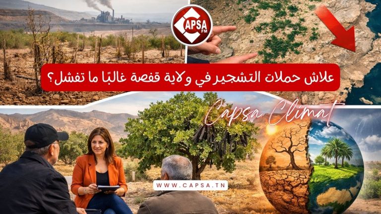 Capsa Climat | علاش حملات التشجير تفشل في ڨفصة وهل الخروب هو الحل