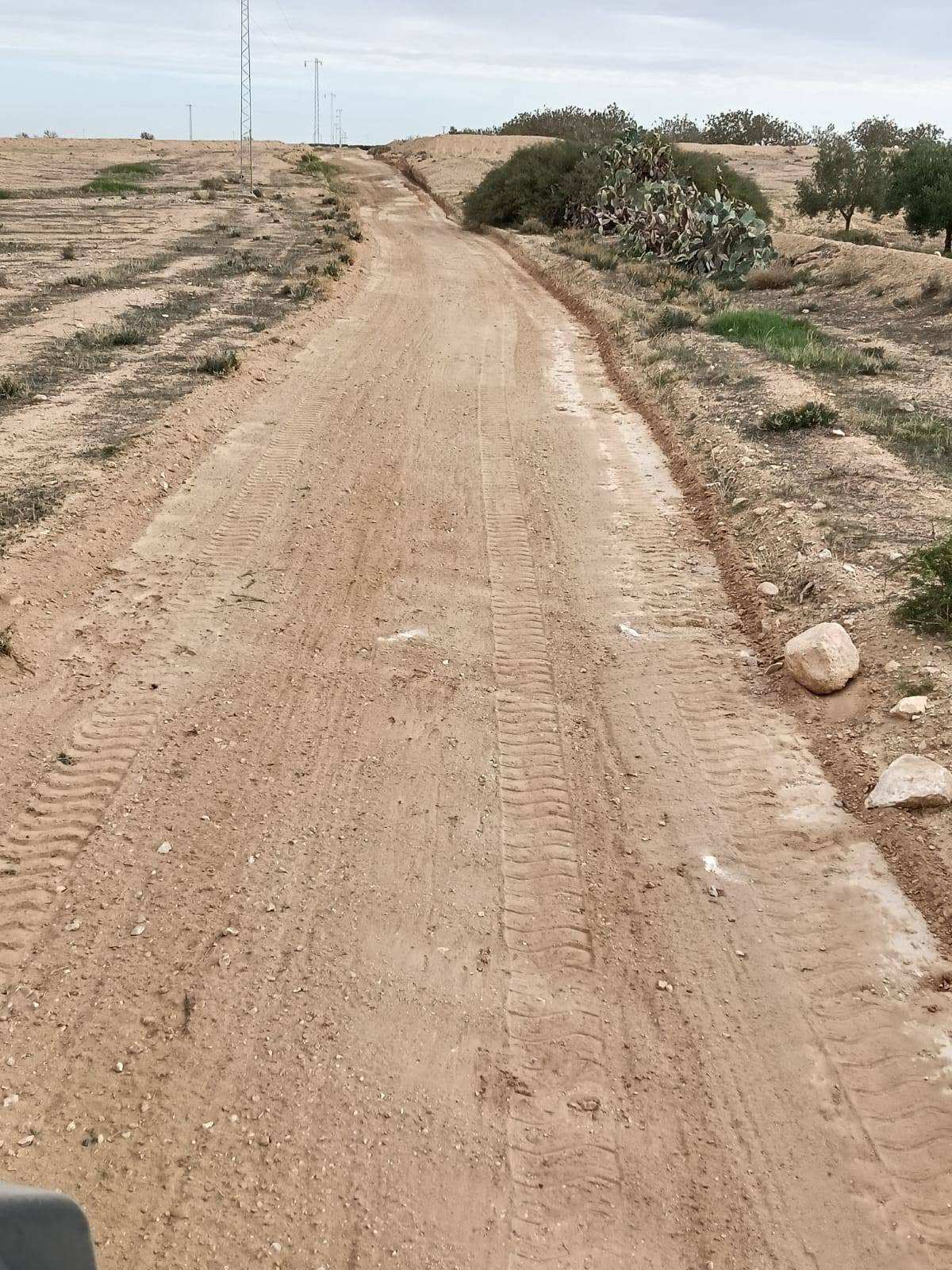 مسلك ريفي ممهّد بمحاذاة نبات التين الشوكي وأعمدة الكهرباء
