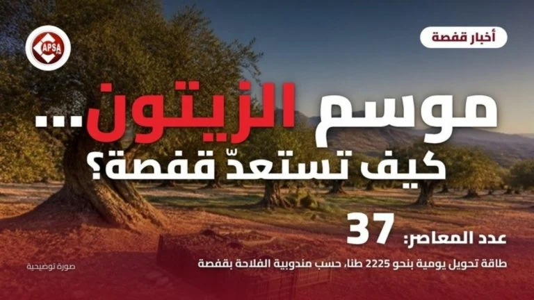 غابة زياتين معمّرة عند الغروب وصناديق زيتون مجني فوق تربة جافة وجبال في الأفق، مع عنوان «موسم الزيتون… كيف تستعدّ قفصة؟» وشعار راديو كابصا اف ام (صورة توضيحية)