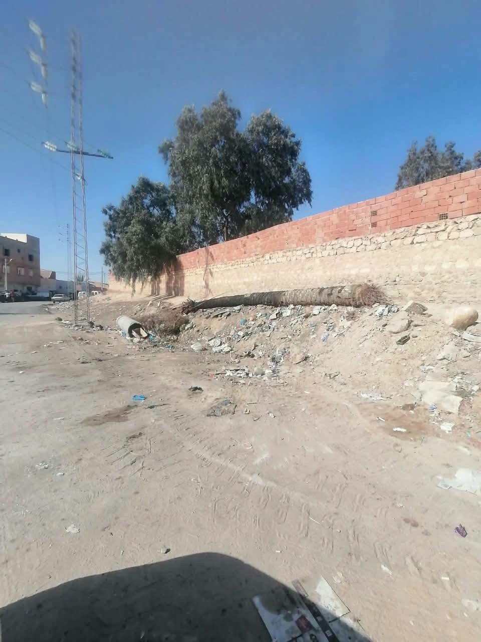جذع نخلة ساقط عند سور وتلة من الفضلات على حافة طريق ترابي بقفصة