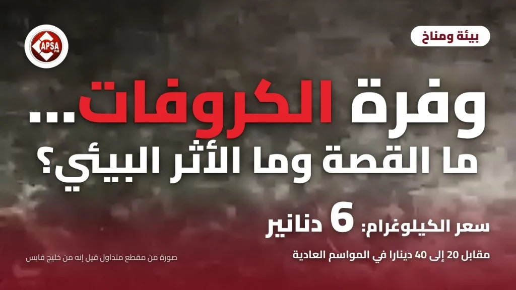 أسراب كثيفة من الكروفات على سطح البحر ليلا في مقطع متداول قيل إنه من خليج قابس، مع عنوان «وفرة الكروفات… ما القصة وما الأثر البيئي؟» وشعار راديو كابصا اف ام