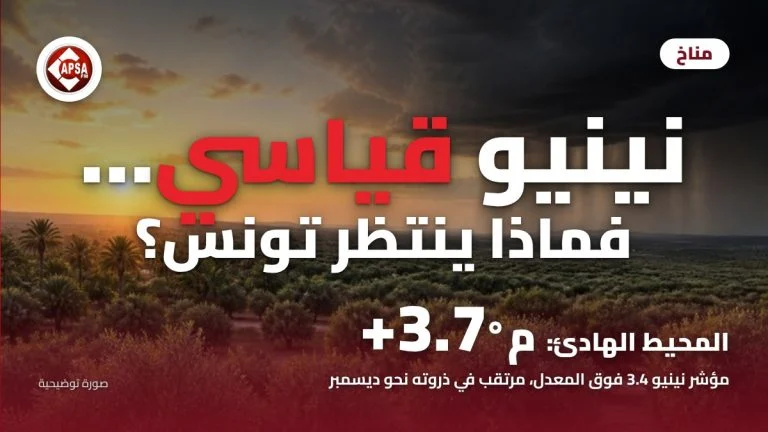 غروب الشمس وسحب عاصفة داكنة تمطر فوق بساتين الزيتون والنخيل، مع عنوان «نينيو قياسي… فماذا ينتظر تونس؟» وشعار راديو كابصا اف ام