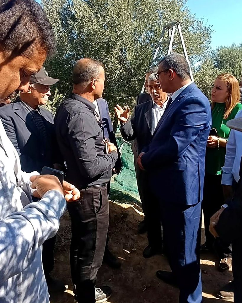 مسؤولون وفلاحون يتحاورون تحت شجرة زيتون مثقلة بالثمار في ضيعة فلاحية بمعتمدية سيدي بوبكر