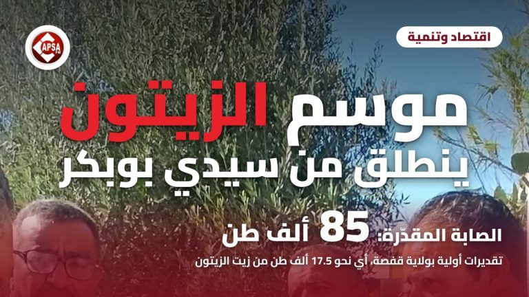 ضيعة زيتون تتوسطها شجرة كثيفة الأغصان وحاضرون في أسفل الصورة، مع عنوان «موسم الزيتون ينطلق من سيدي بوبكر» ورقم 85 ألف طن وشعار راديو كابصا اف ام